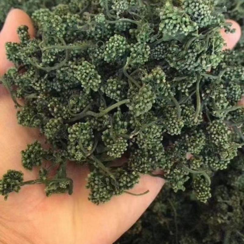 足年优质无杂西洋参花原产地批发量大从优欢迎选购