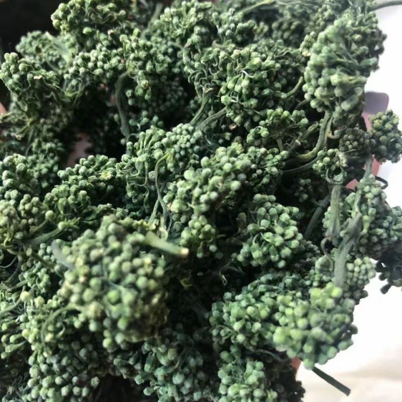 足年优质无杂西洋参花原产地批发量大从优欢迎选购