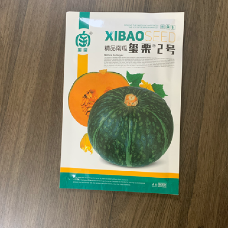 包邮新西兰板栗南瓜种子贝贝南瓜种子厂家直销