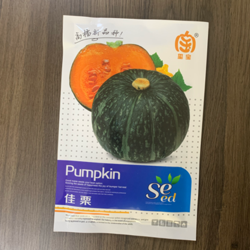 包邮蔬菜贝贝南瓜板栗南瓜种子厂家直销四季种植