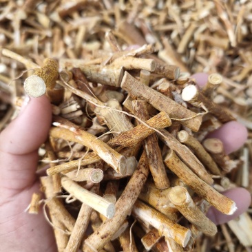 长期加工五指毛桃干货新鲜货档口货地摊货工厂货一体化机柜
