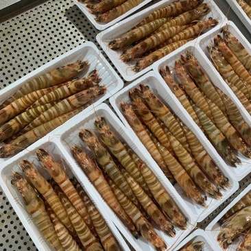 天然大花虾，个头大，新鲜，液淡冻，厂家直销，一手货源