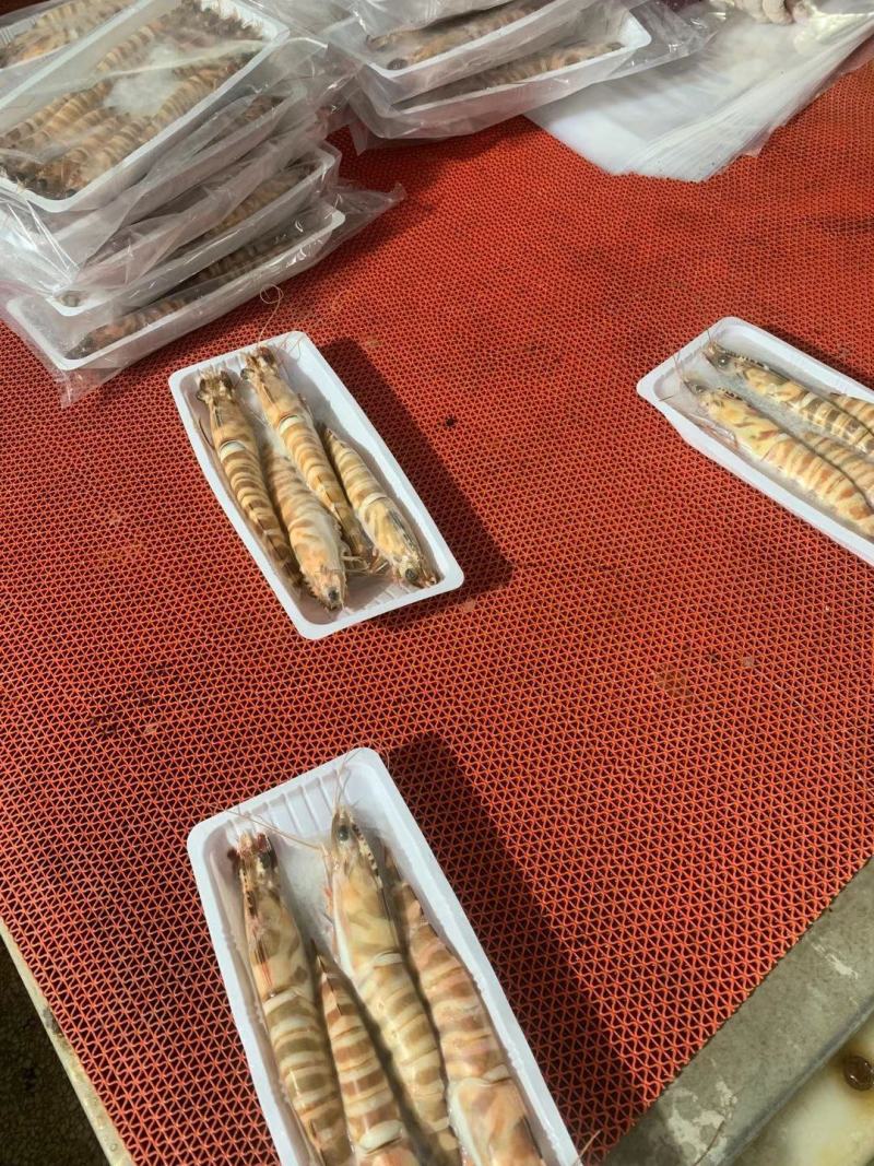 天然大花虾，个头大，新鲜，液淡冻，厂家直销，一手货源