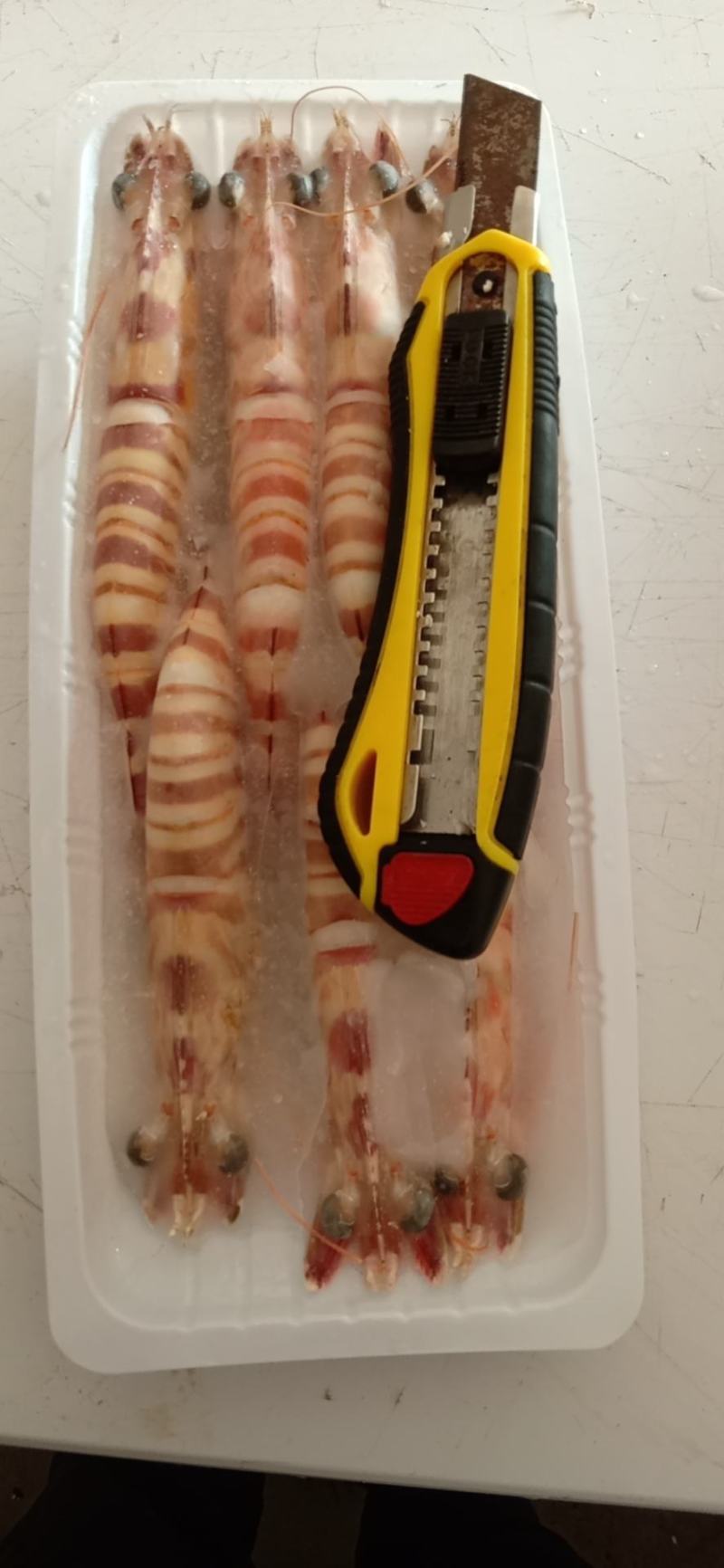 天然大花虾，个头大，新鲜，液淡冻，厂家直销，一手货源
