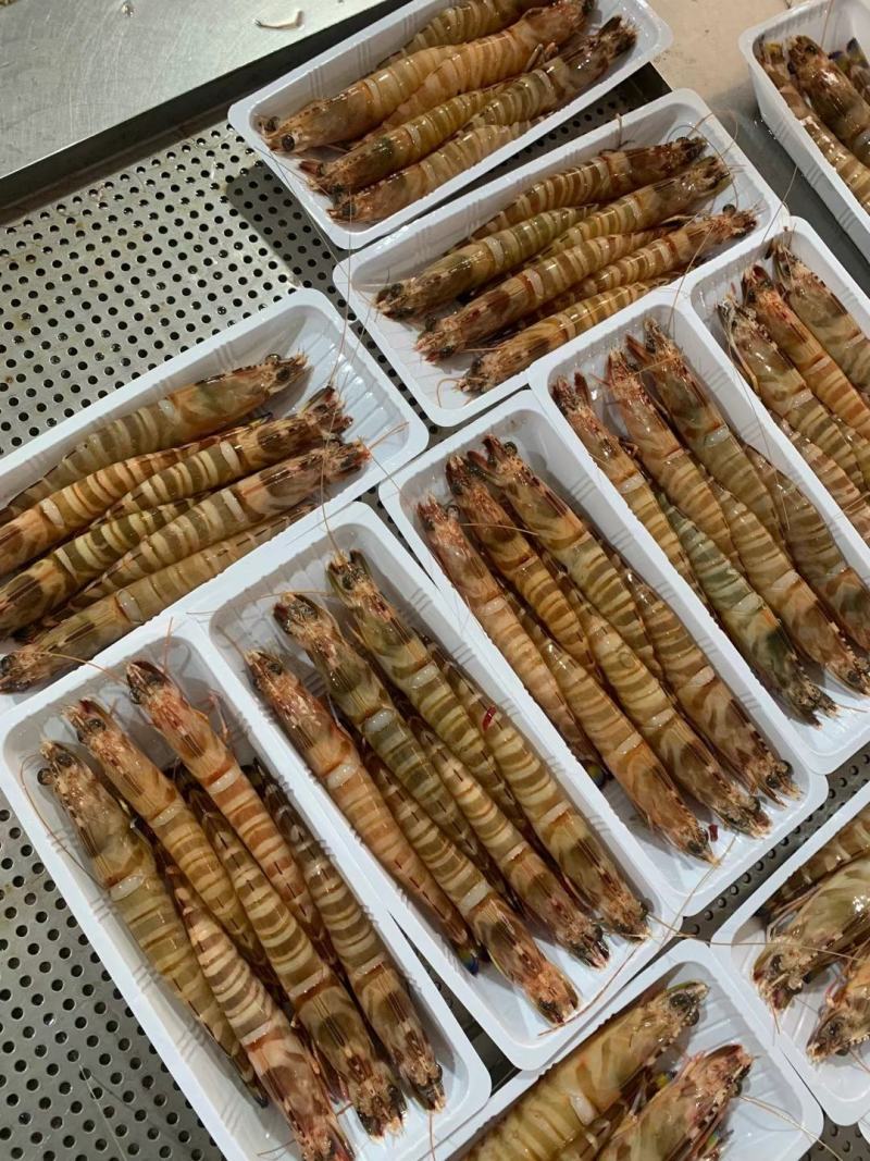 天然大花虾，个头大，新鲜，液淡冻，厂家直销，一手货源