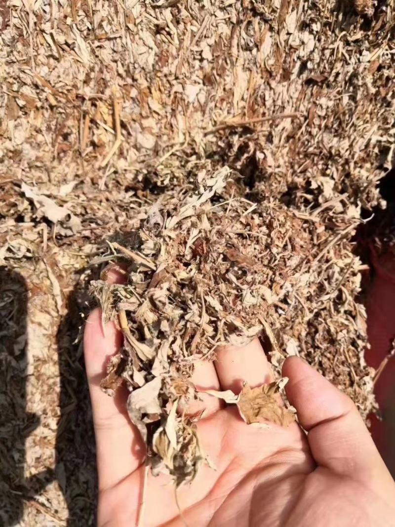 艾绒优质绒胚源头厂家各种比例量大从优