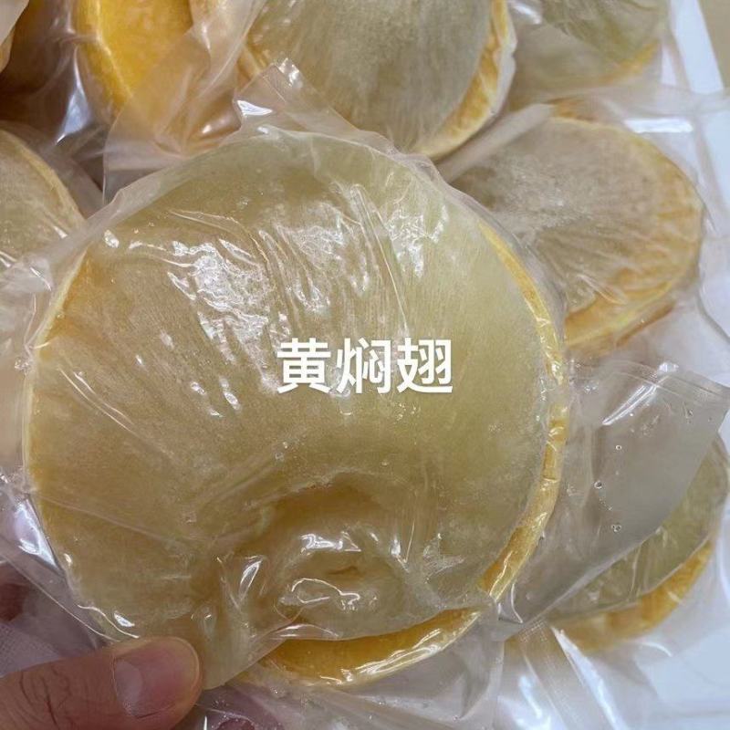 鲍鱼鱼翅