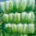 城固县：白菜（义和秋大白菜）貭量高颜色绿产地直销货源充足