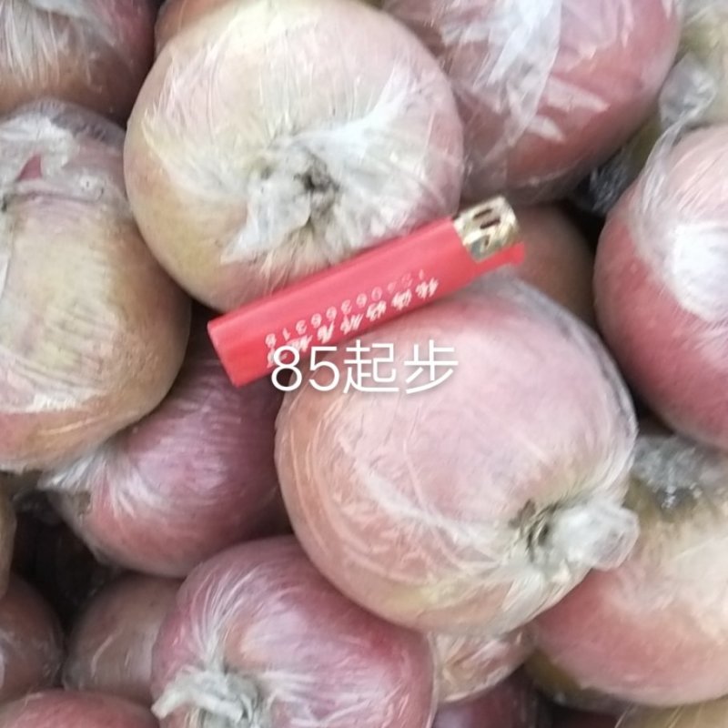 山东膜袋自然原味富士苹果