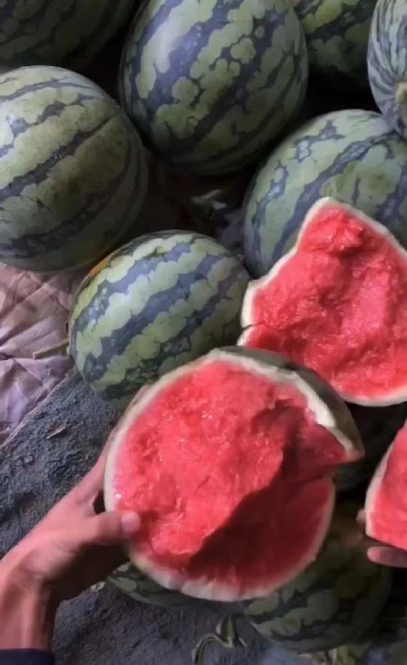 神奥果美，美都系列西瓜种子早中熟花皮圆形春季大棚红心