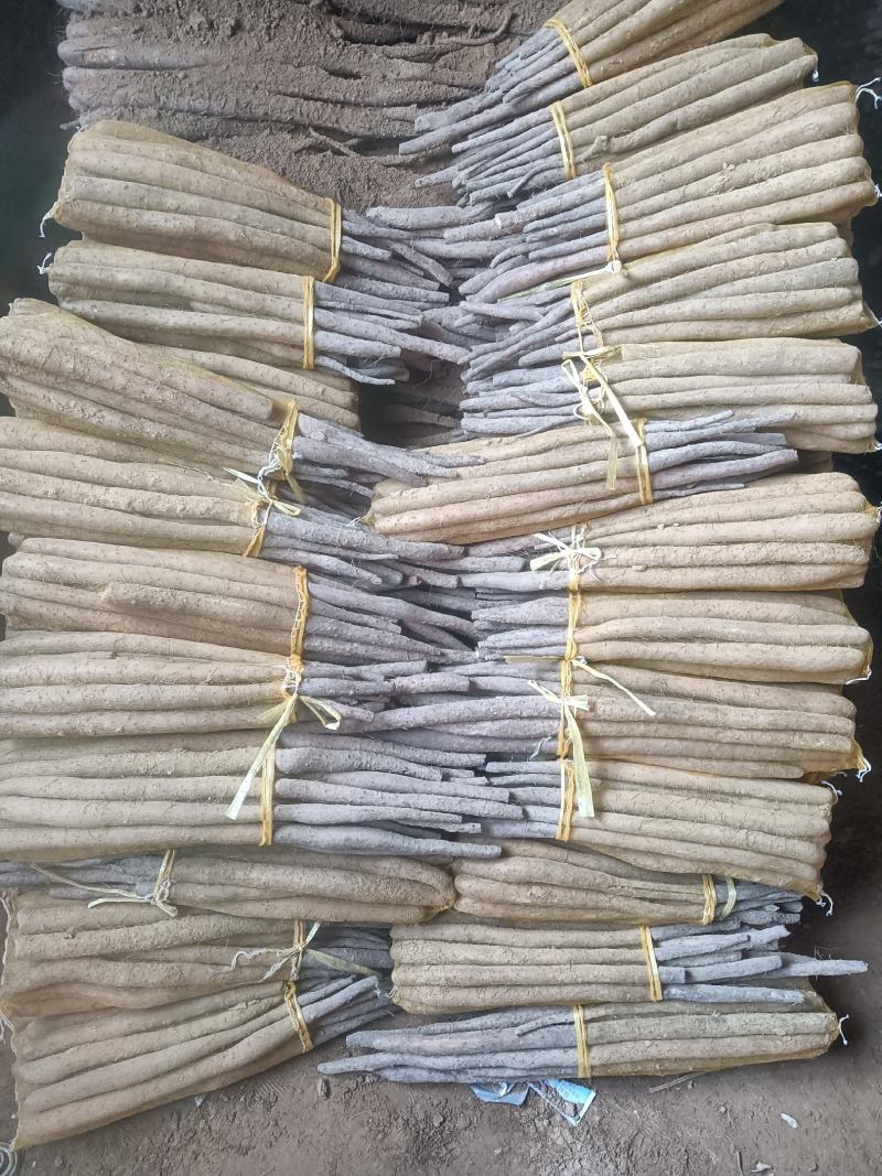 山东聊城莘县白玉山药抢购中，
