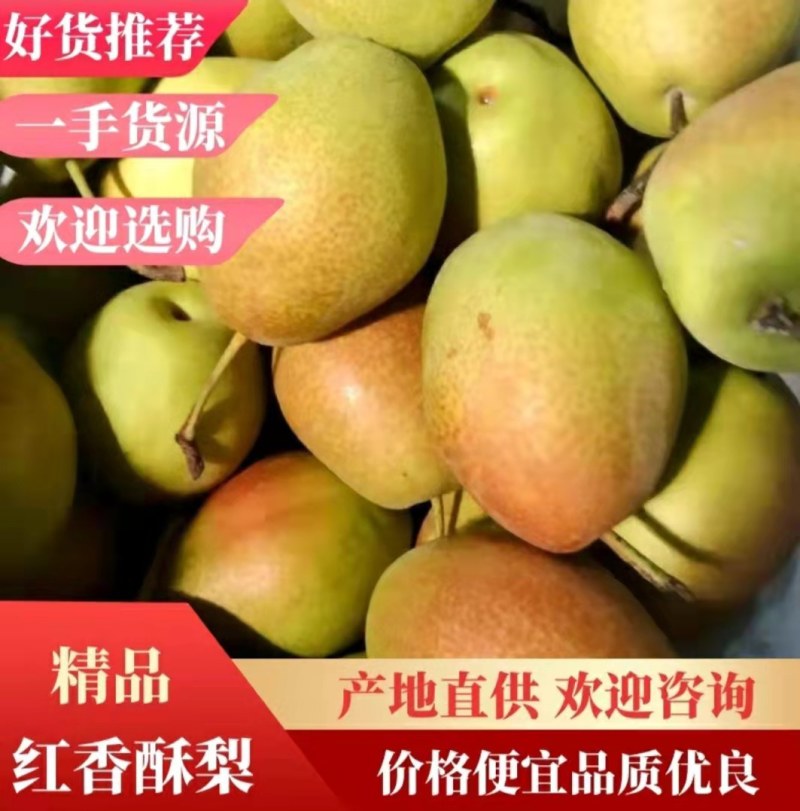 红香酥梨框装，高，中，低货。需要的联系