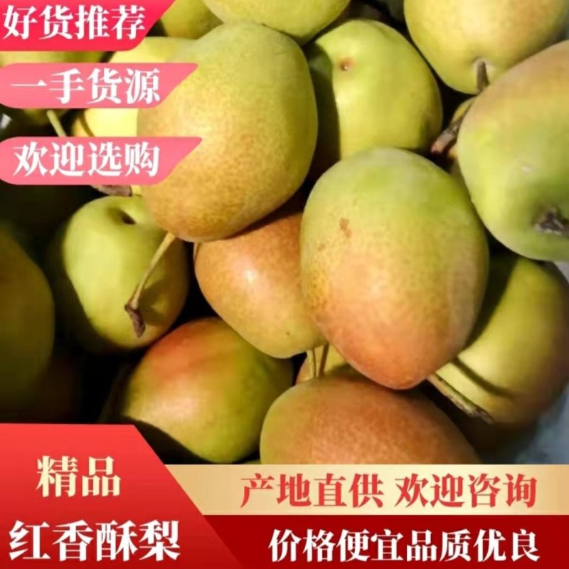 红香酥梨框装，高，中，低货。需要的联系