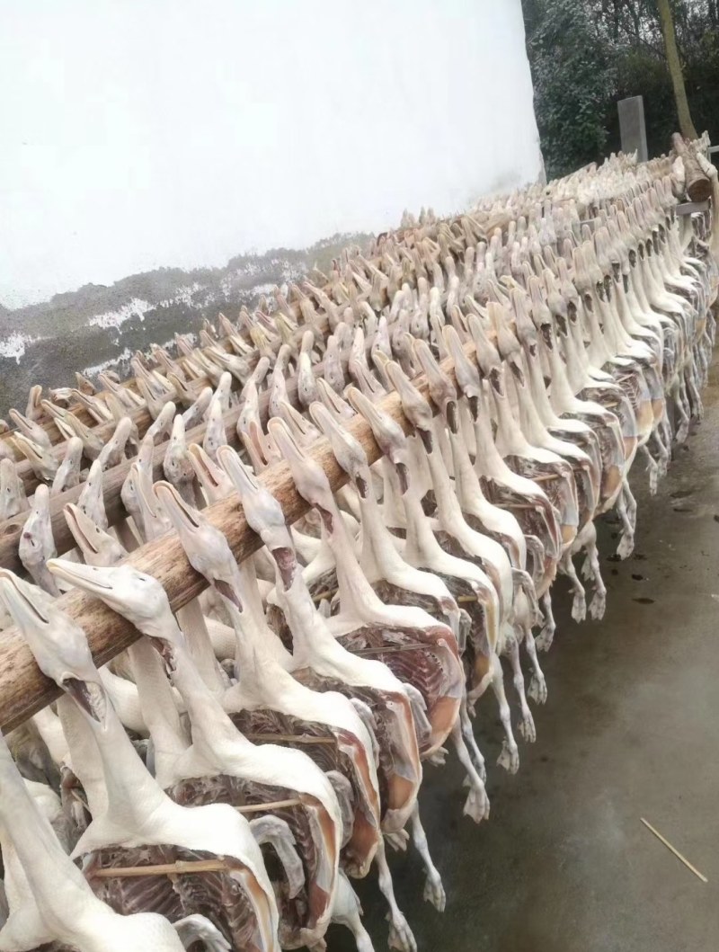 镇江精品咸鹅，产地直发，保质保量，欢迎前来选购