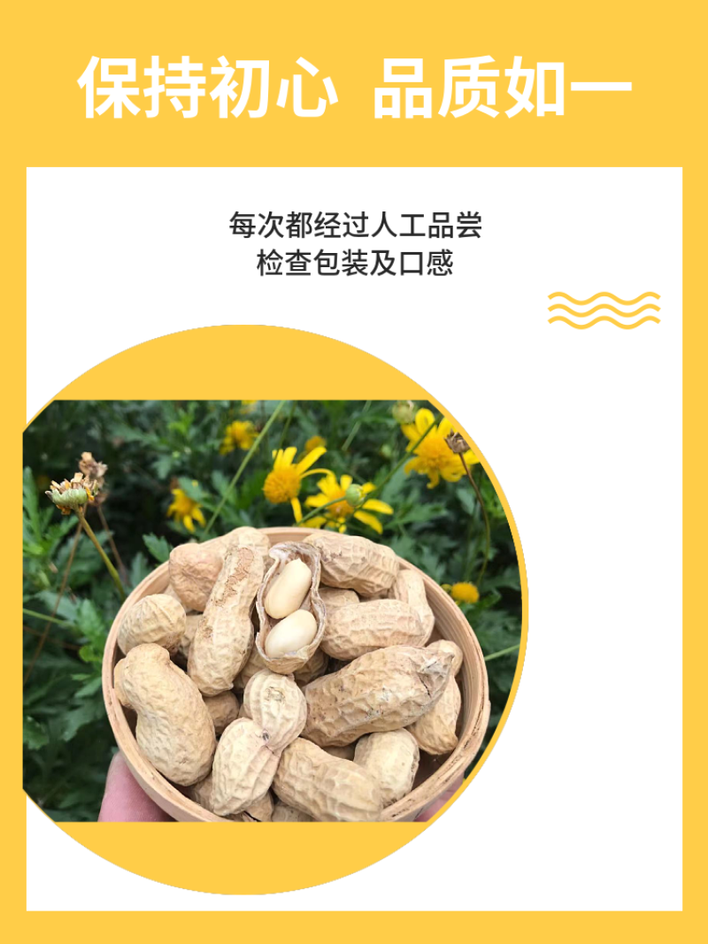 新货多味花生蒜香卤味核桃味奶香盐焗原味五斤3斤坚果零食