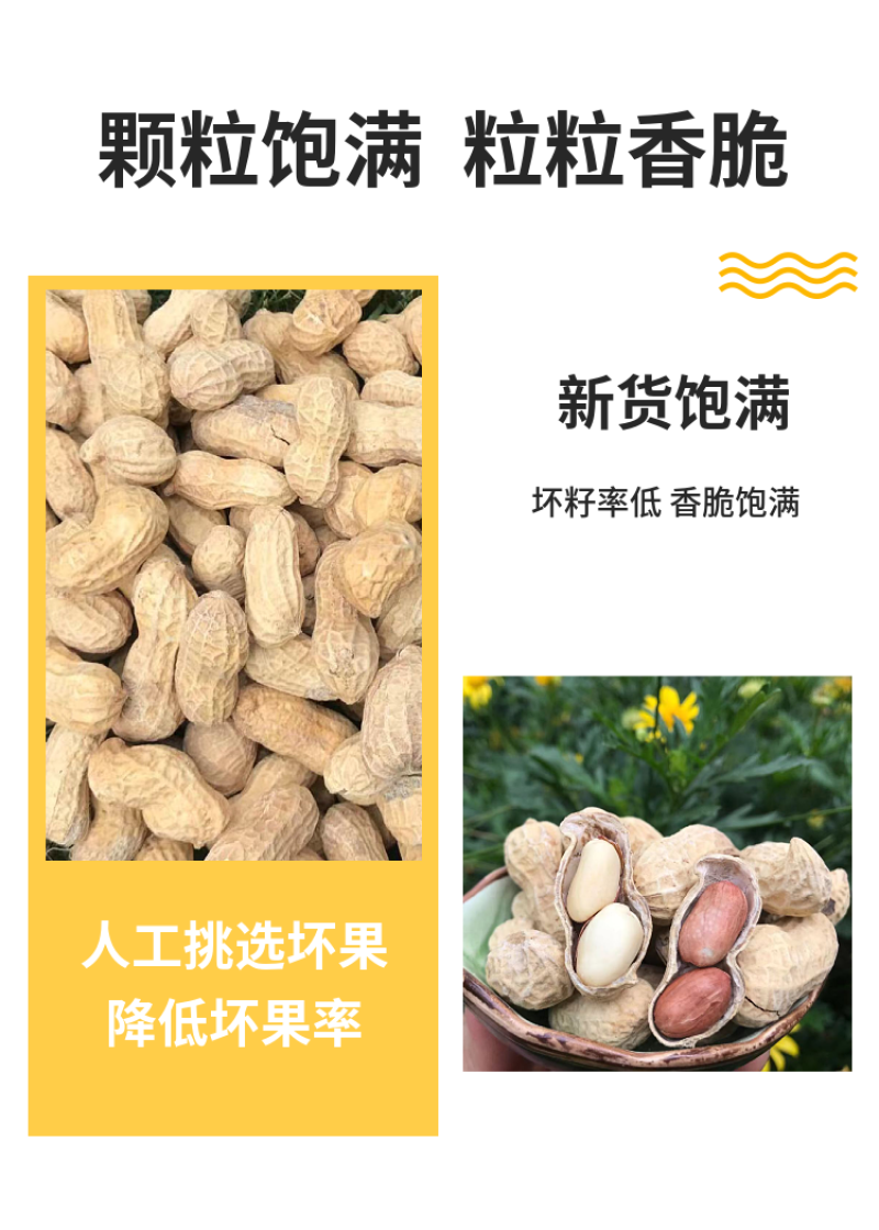 新货多味花生蒜香卤味核桃味奶香盐焗原味五斤3斤坚果零食