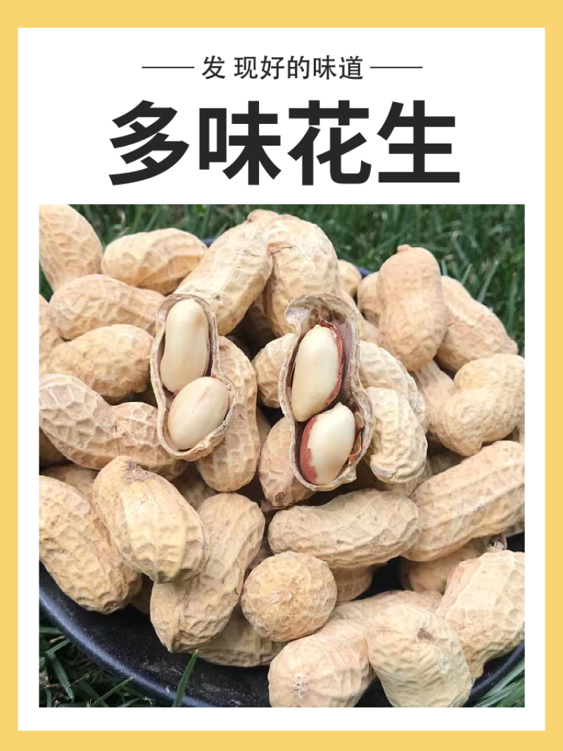 新货多味花生蒜香卤味核桃味奶香盐焗原味五斤3斤坚果零食