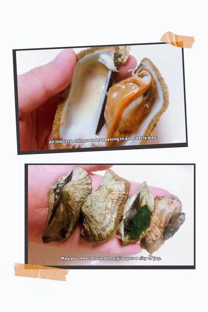 姐妹螺，网红爆品螺，适合团购，清蒸，酒店