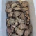 姐妹螺，网红爆品螺，适合团购，清蒸，酒店