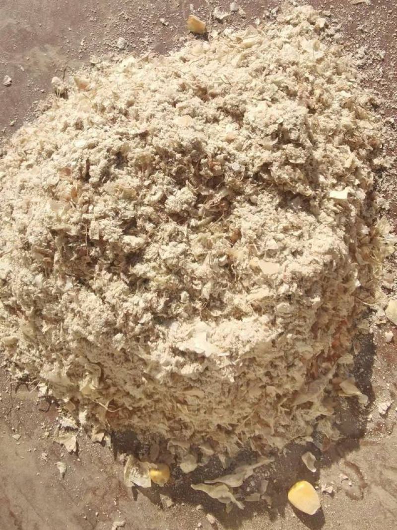 养殖专用玉米皮，饲料填充，价格低，现货供应，全国发货！