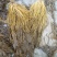 腌制雪里红腌制雪菜新鲜上市量大从优欢迎来电咨询