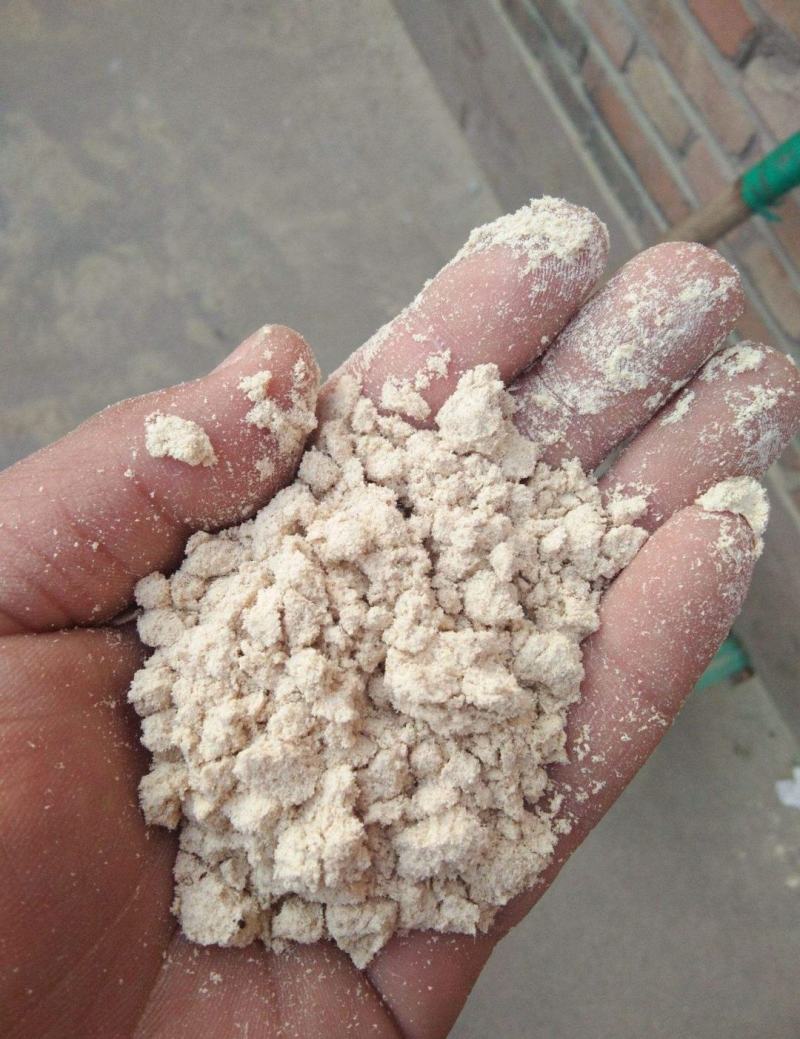 玉米次粉灰分低营养高蛋白8-10脂肪7-9灰分4左右