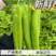 辽宁产地发货，黄皮绿皮尖椒，量大四季有菜。