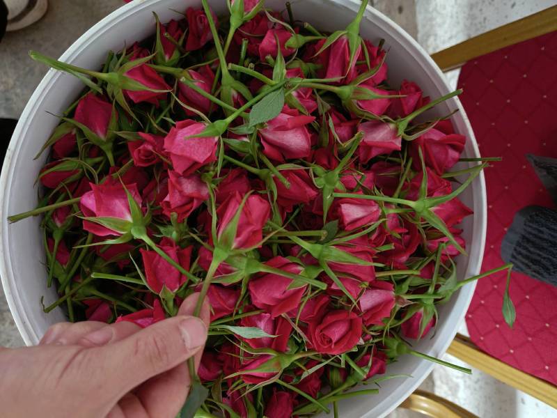 批发鲜花花头婚庆装饰花束配材花墙花柱插花原产地发货