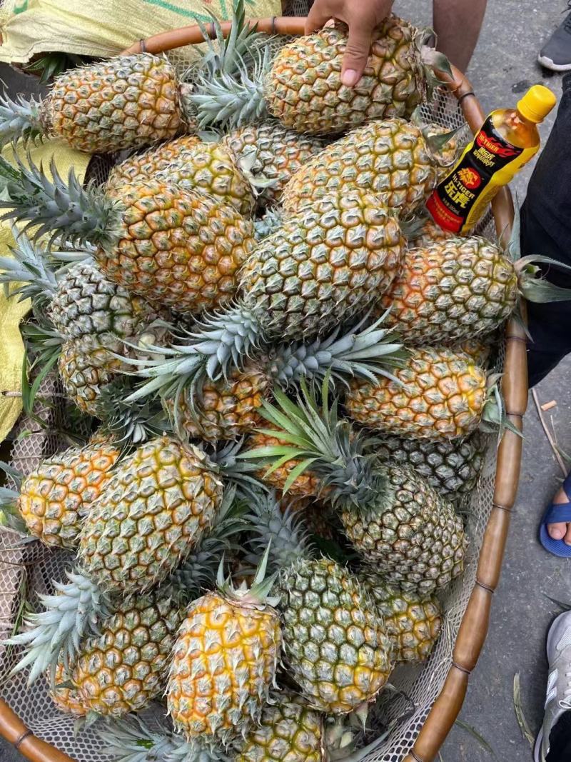 需要市场货的老板可以预订了