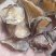 乌药生货一公斤起售，制片无硫清水原色炙生有货1起售