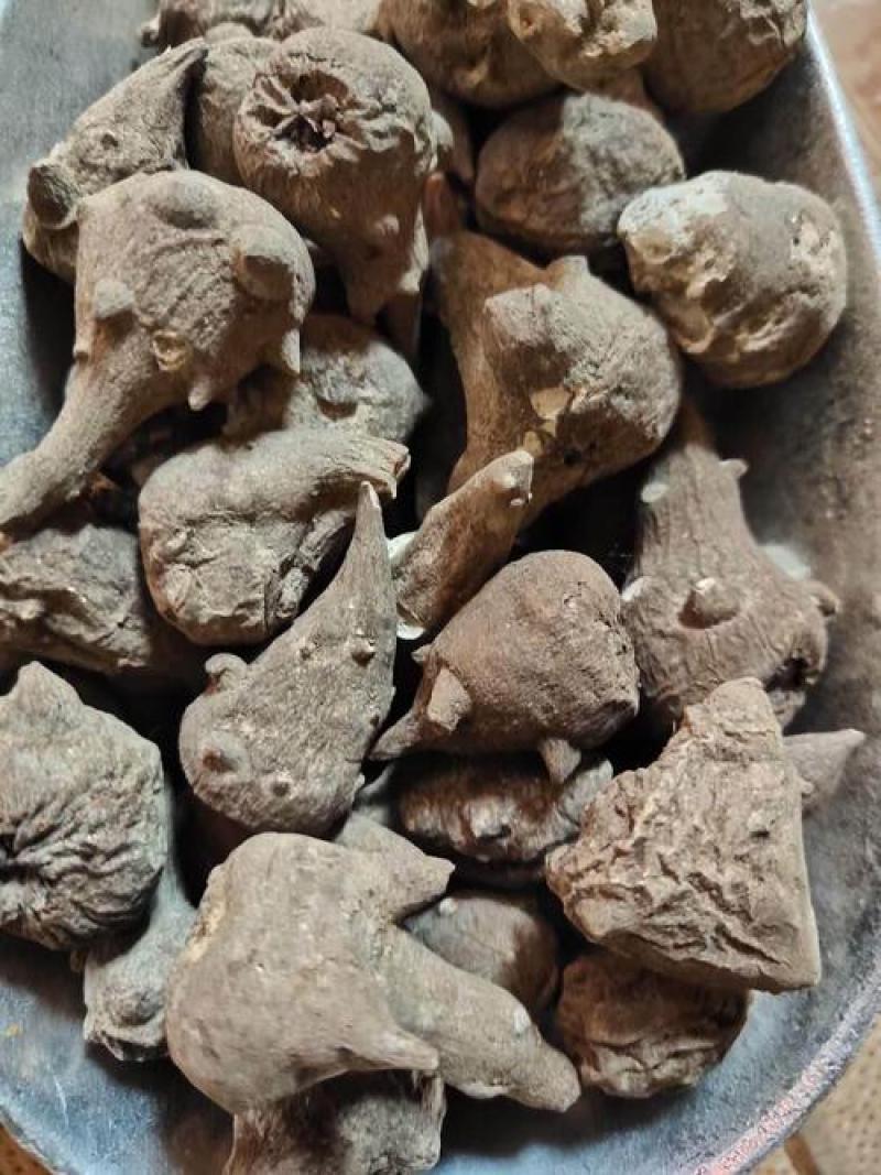 乌药生货一公斤起售，制片无硫清水原色炙生有货1起售