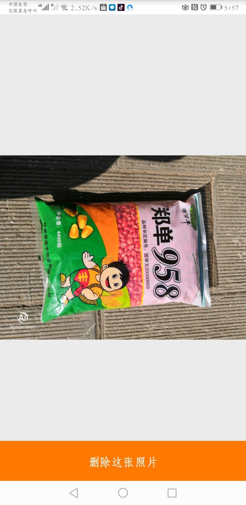 高产优质种子