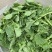 油菜苔，青油菜，长度15厘米以下精品长度20至30厘米。