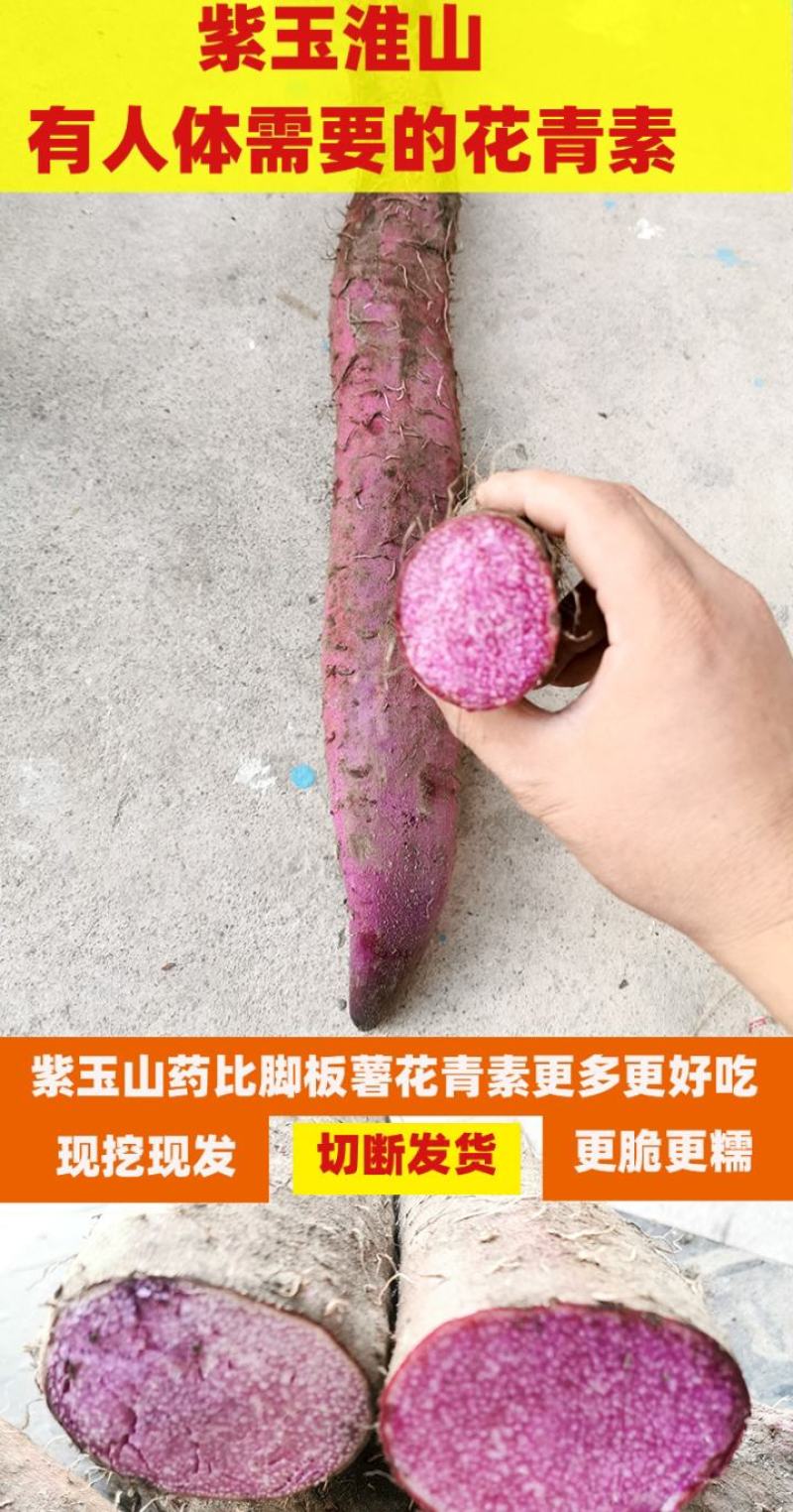 山药紫色山药现挖现卖紫山药新鲜紫山药花青素山药包邮