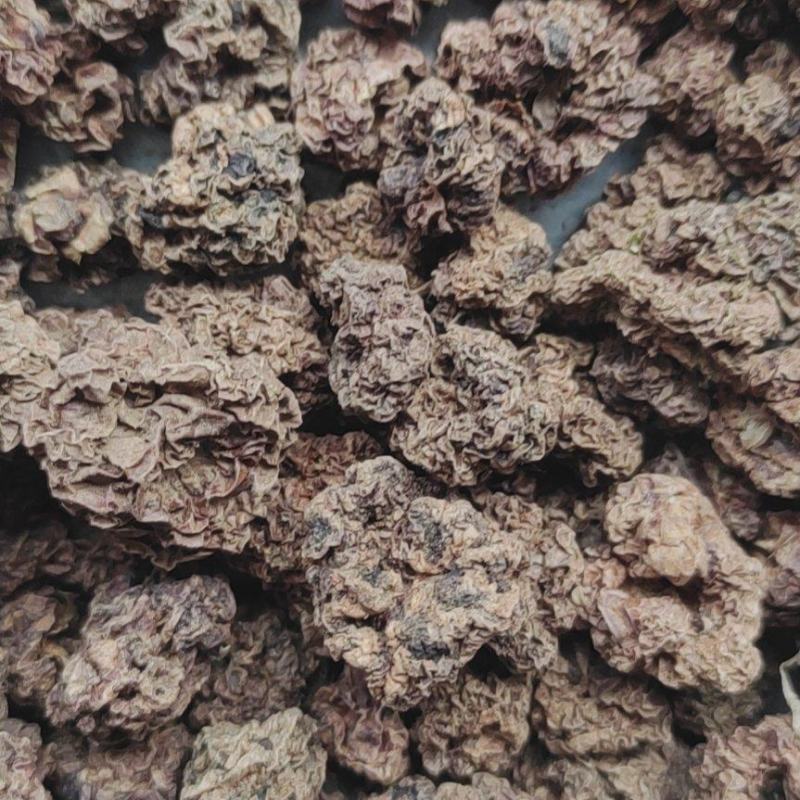 正宗木天蓼子500g木天廖子木天蓼籽木天蓼