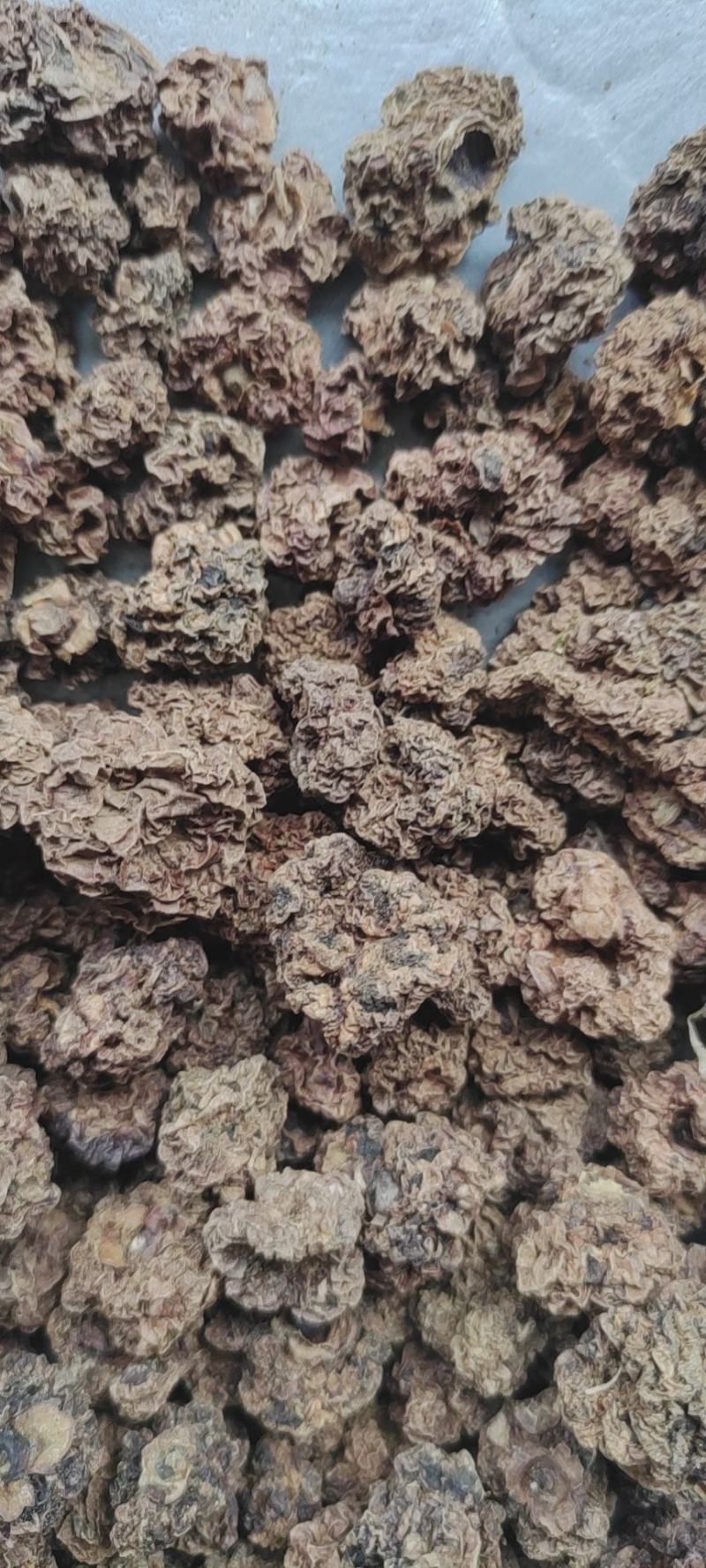 正宗木天蓼子500g木天廖子木天蓼籽木天蓼