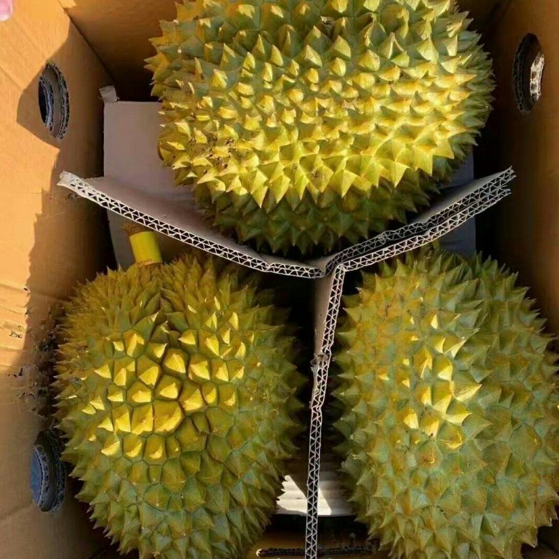 批发【榴莲】肉多香甜5～6头各种品牌都有实惠价