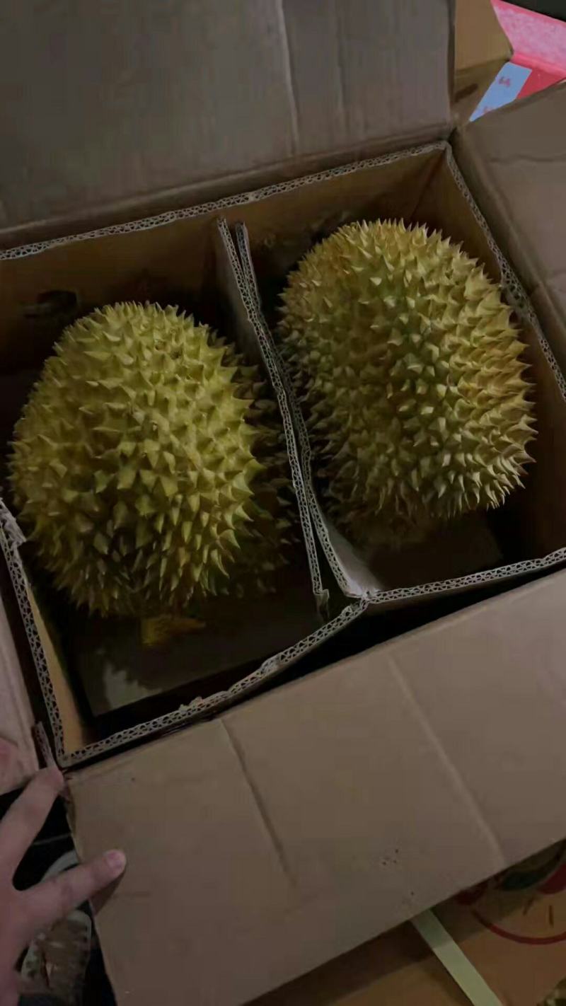 批发【榴莲】肉多香甜5～6头各种品牌都有实惠价