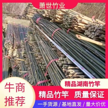 湖南批发竹竿自产自销豆角，黄瓜，西红柿架等属于通货规格