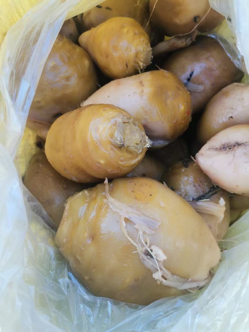 厂家现货出售芥菜出售高盐度芥菜，口感脆，咸味厂家常年有货