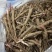 基地直供赤芍苗芍药苗芍药芽一年、两年、三年