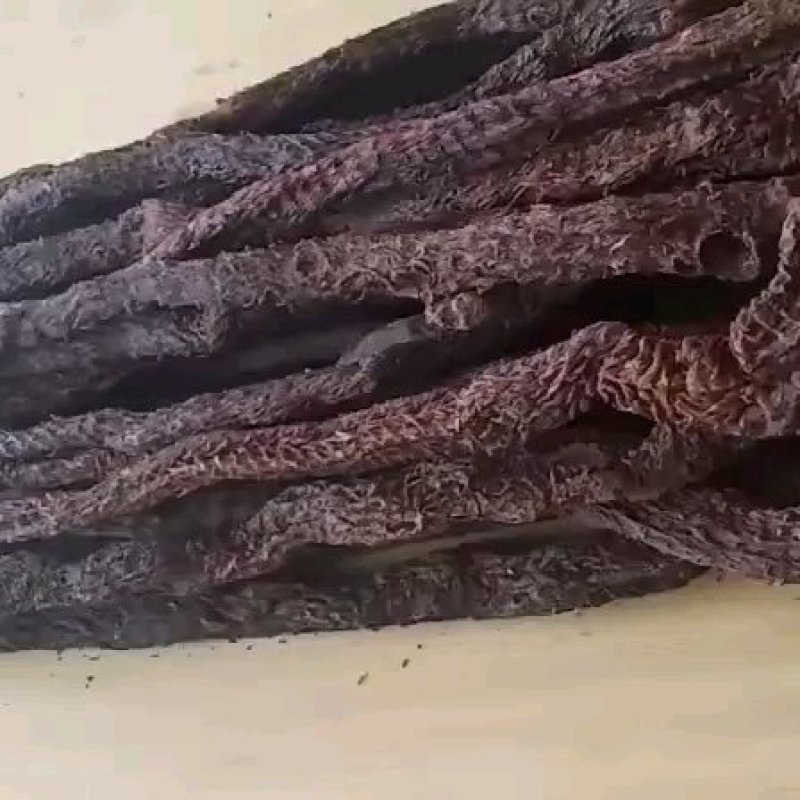 内蒙阿拉善野生肉苁蓉整根
