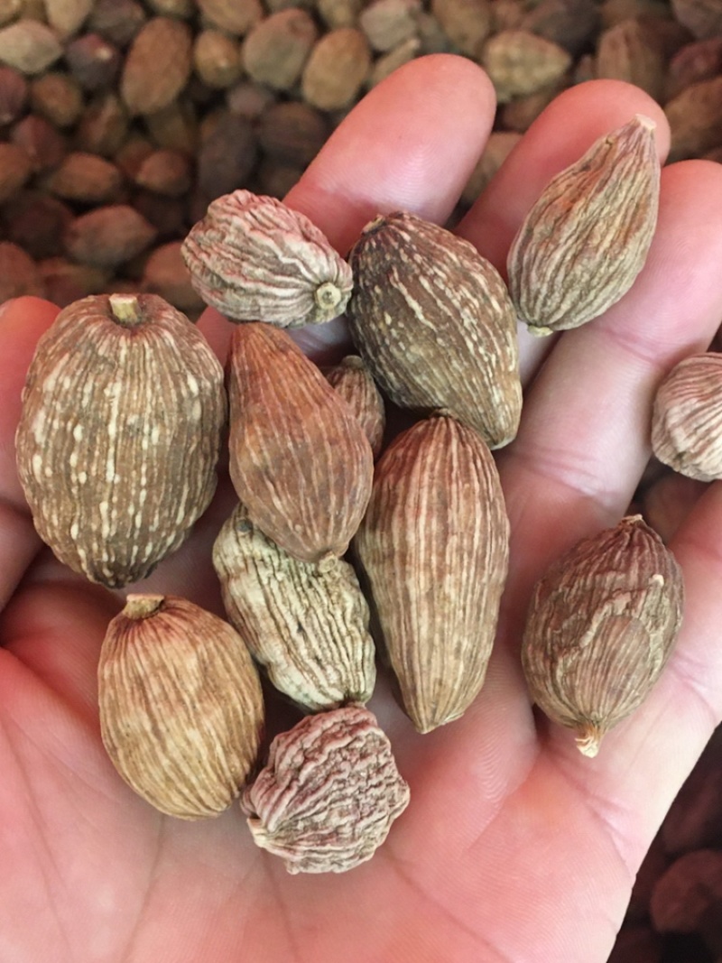 干草果