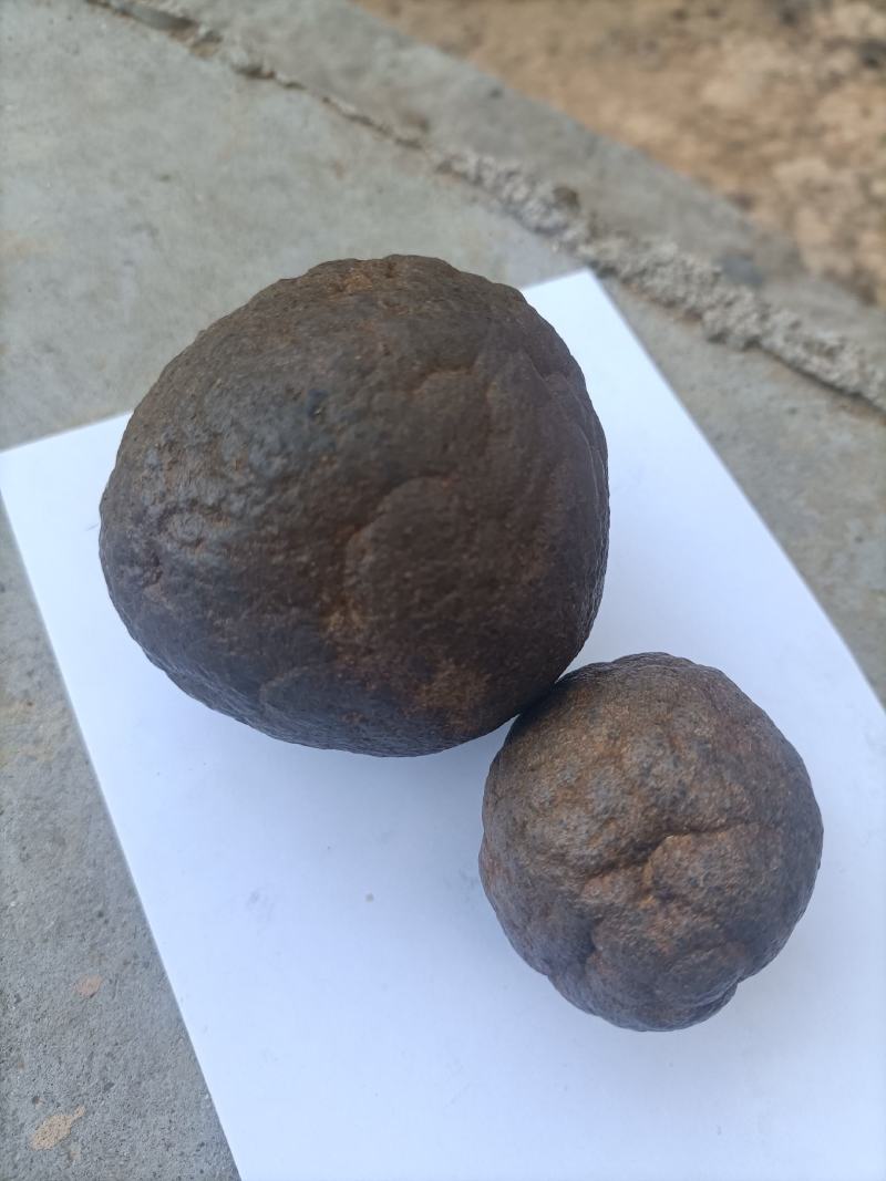 自家放养的黑山羊肚子里取出的羊结石
