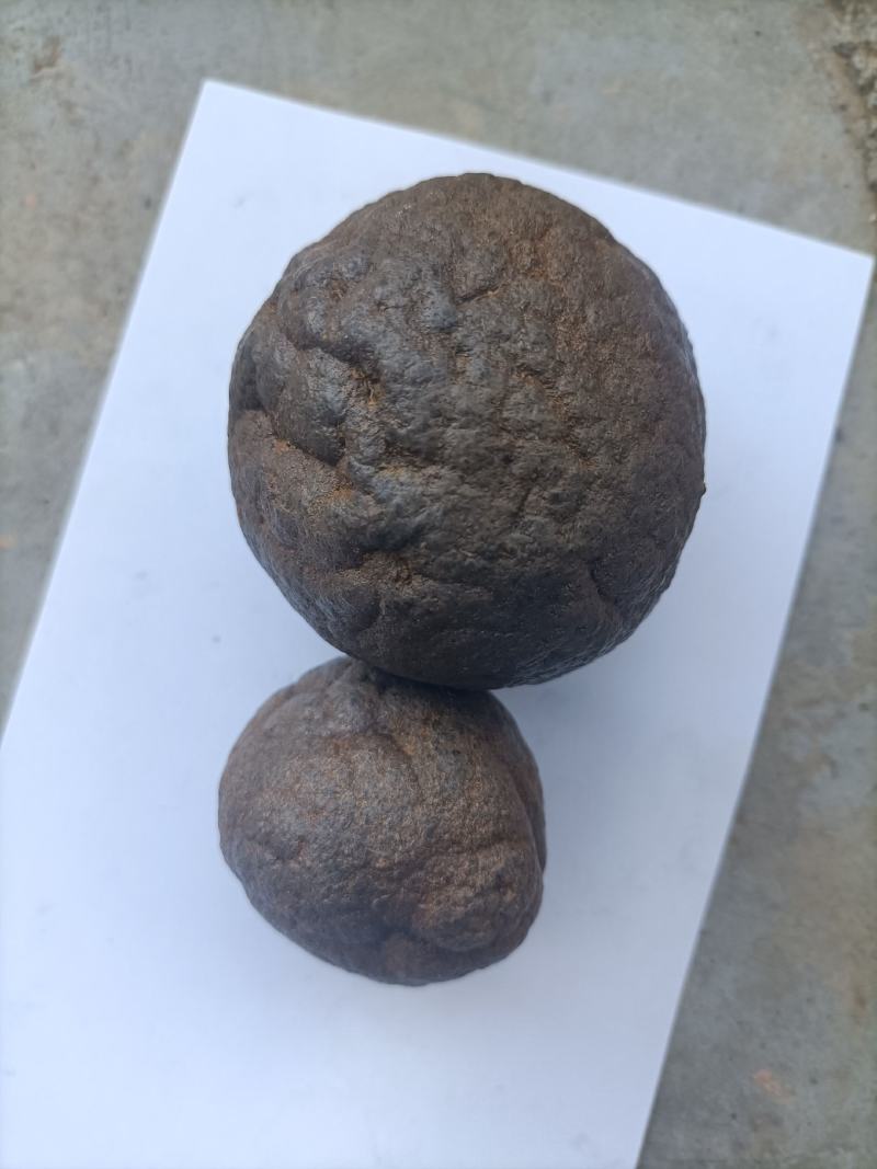 自家放养的黑山羊肚子里取出的羊结石