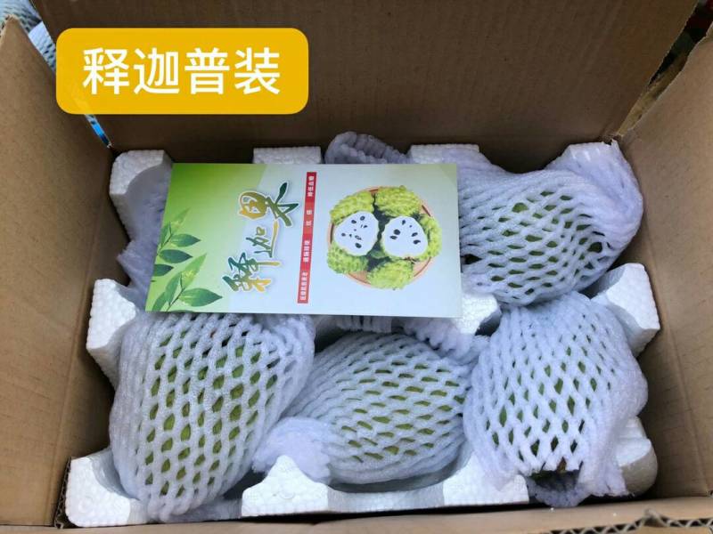 凤梨牛奶释迦甜如蜂蜜入口即化产地直供现摘现发