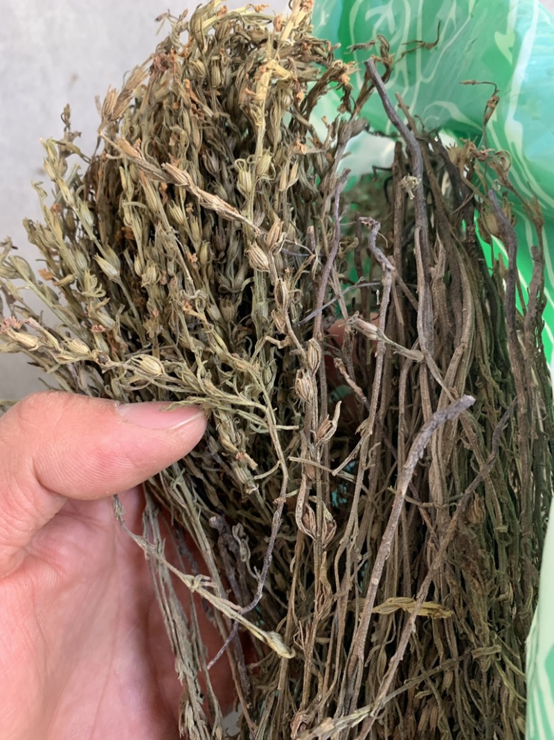 独脚金一公斤起批无硫磺熏蒸独脚金独角金