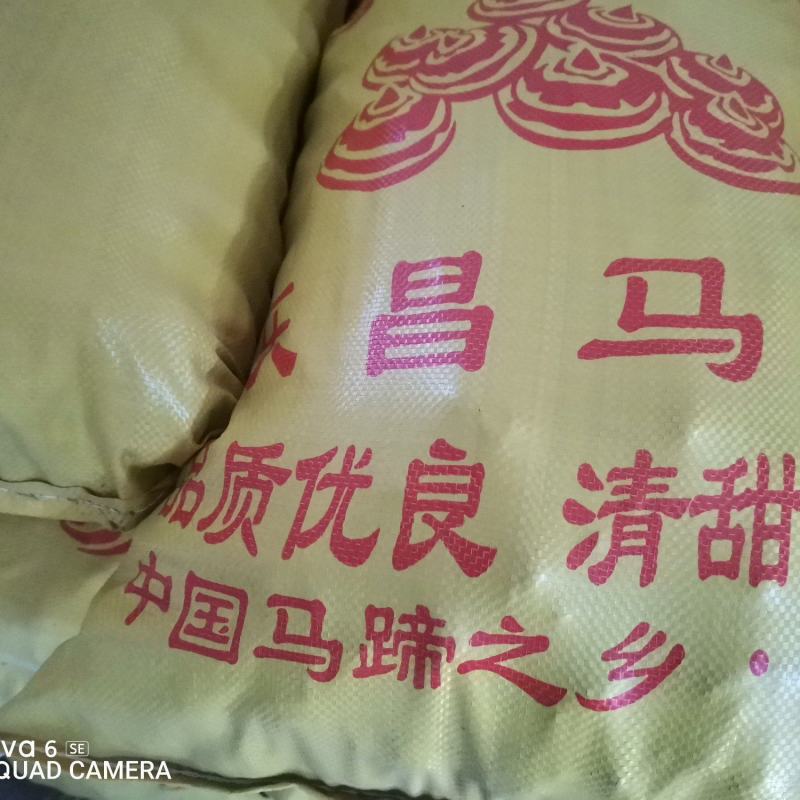 正宗乐昌北乡荸荠，清甜爽脆，欢迎界老板洽谈