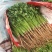 香菜安丘铁杆香菜30公分高，无黑叶无黄叶，产地直销批发价格