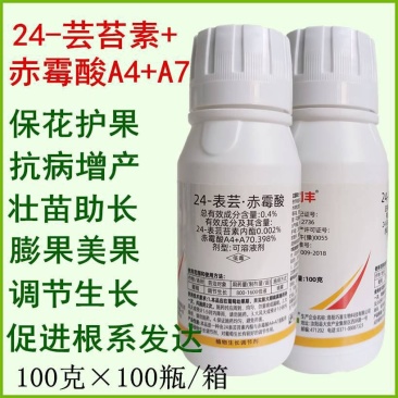 24表芸苔素赤霉酸生长调节剂柑橘荔枝龙眼增产保花保果